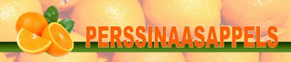 PVC spandoek 300x60 perssinaasappels-1
