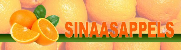PVC spandoek 300x80 sinaasappels