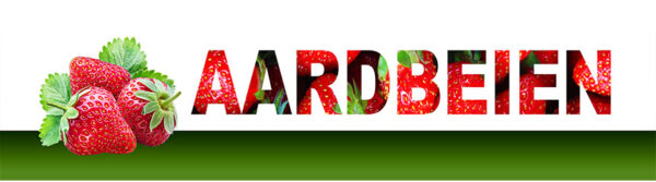 PVC spandoek 300x80 aardbeien