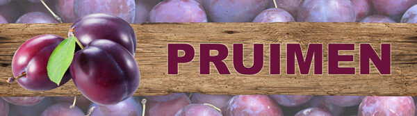 PVC spandoek 300x80 pruimen op hout