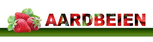 PVC spandoek 300x60 aardbeien