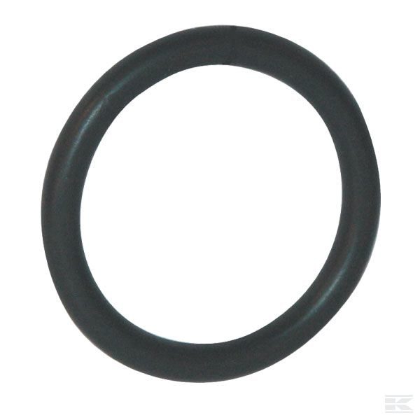 10 x O-ring 21,1 mm