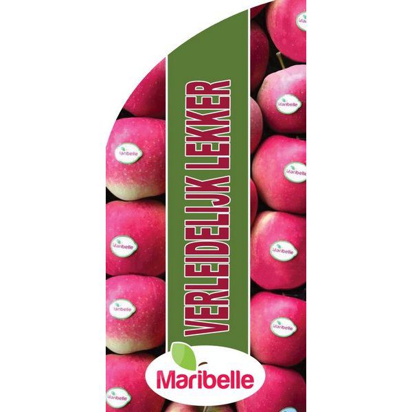 Beachvlag Maribelle 170 Verleidelijk lekker-roze