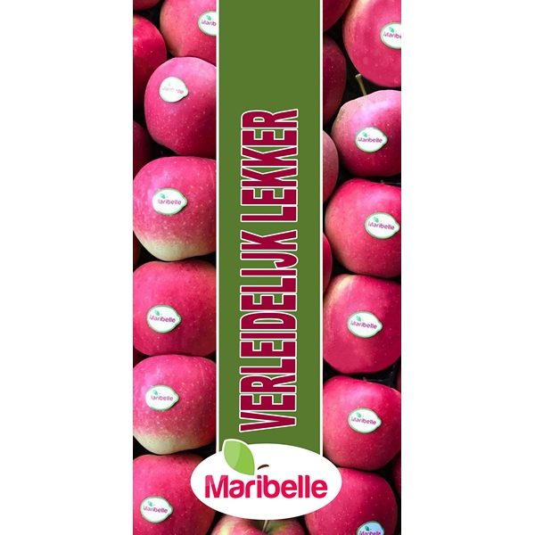 Beachvlag Maribelle 170 Verleidelijk lekker-roze - Afbeelding 2