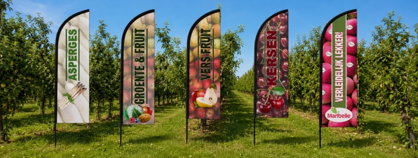Beachvlag 250 (medium) fruit/groente